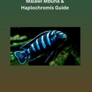 malawi mbuna & haplochromis guide