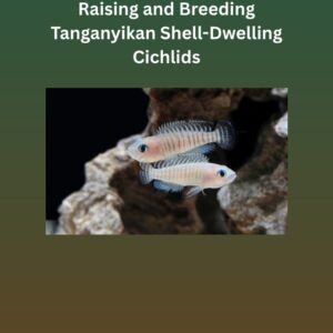 tanganyikan cichlids care guide